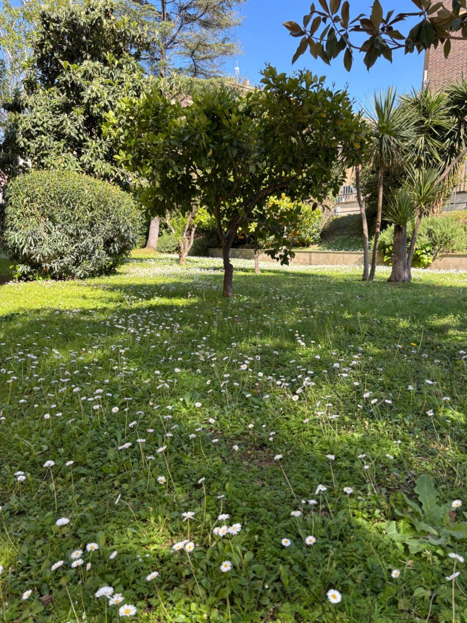 Grelly'S House - Holiday In Rome - 50 Meters From The Metro Exterior foto