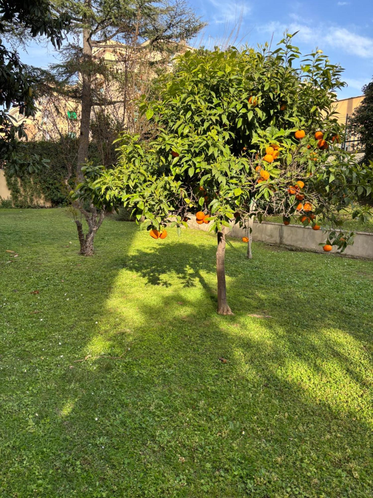 Grelly'S House - Holiday In Rome - 50 Meters From The Metro Exterior foto